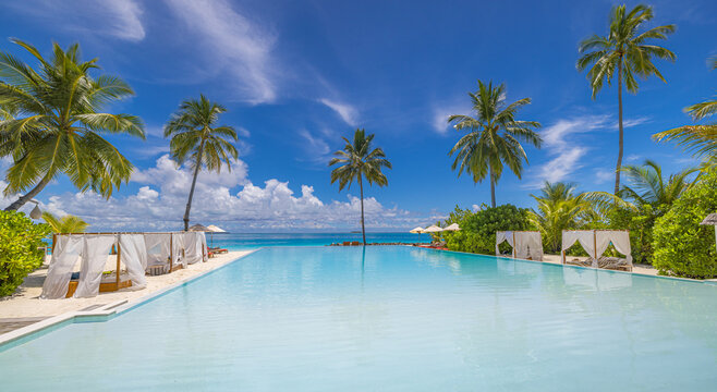 Luxury outdoors resort infinity pool view. Fantastic summer holiday destination relax sun beds umbrellas, palm trees. Tranquil poolside sea sky vacation escape. Perfect tropical travel landscape coast