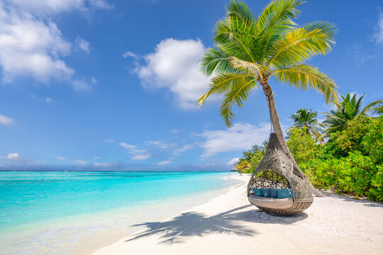 Luxury summer beach landscape. Popular travel destination, picturesque palm tree swing hammock tourism background. Idyllic sunny sea sand sky closeup relaxing tropical island vacation escape concept
