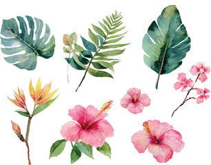 collection of flowers