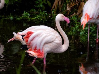 台北市立動物園