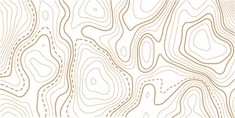Topographic map pattern background vector. Abstract line contour mountain terrain map background. 