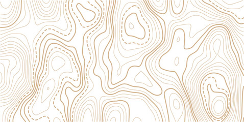 Topographic map pattern background vector. Abstract line contour mountain terrain map background. The concept of a conditional geography scheme and contour line map image. 