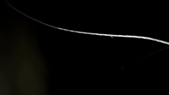 Minimalist Black Background with Illuminated Spider Web and Bokeh Lights