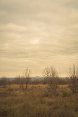 Wintery landscape in Castilla Spain