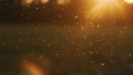 Golden sunlight dances in the air, mesmerizing dust particles glisten in the warm light, creating a magical and ethereal atmospheric vibe