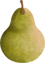 avocado fruit watercolor style