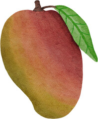 mango fruit watercolor style