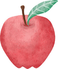 apple fruit watercolor style