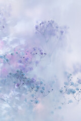 Soft pastel flowers in dreamy blur with gentle light, romantic mood, airy texture and delicate floral background.