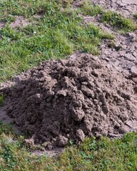 Pile of dirt resting on patchy grass in construction zone