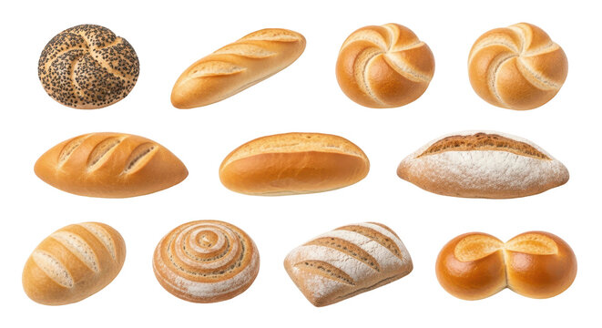 Artisan Bread Variety: A delightful assortment of freshly baked artisan breads, each showcasing unique shapes and textures, appealing to the eye and promising a culinary adventure.