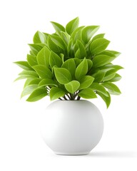 Lush Green Indoor Plant in Modern White Pot for Home Decor
