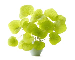 Fresh Green Leaves in a Minimalist White Vase Decor Element