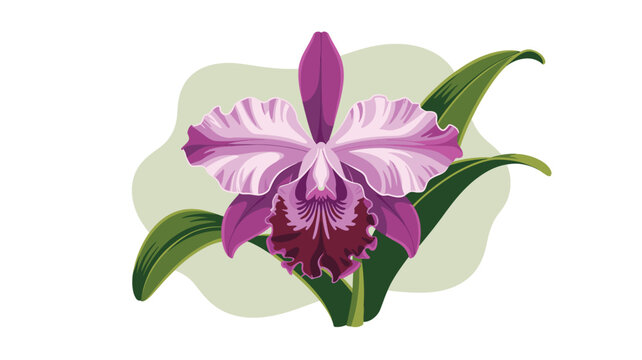 Elegant Purple Cattleya Orchid Illustration with Green Leaves, Isolated on White Background, Perfect for Floral Designs and Tropical-Themed Projects, a Symbol of Beauty