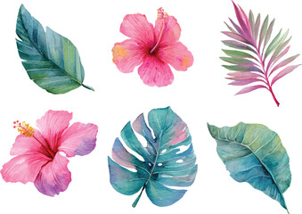 set of flowers isolated on white