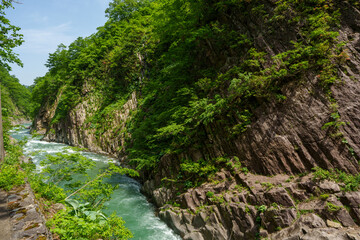 Obraz premium 250521新潟県十日町市清津峡