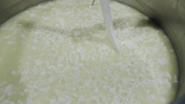 Crafting Artisan Cheese: Whipping Curd Grains