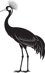 Elegant silhouette of a crowned crane bird on white background