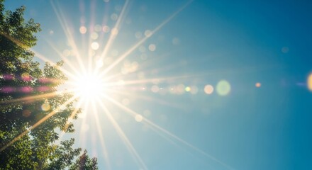Sunny day blue sky bright sunlight rays beaming through the trees summer nature outdoors