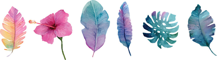 set of colorful feathers