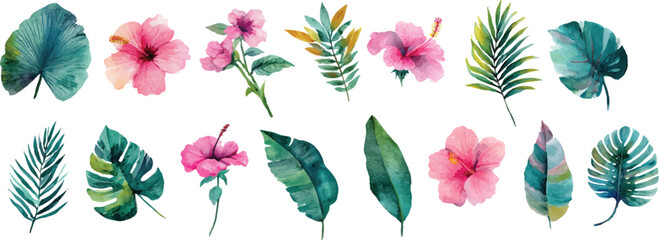 vector set of colorful feathers