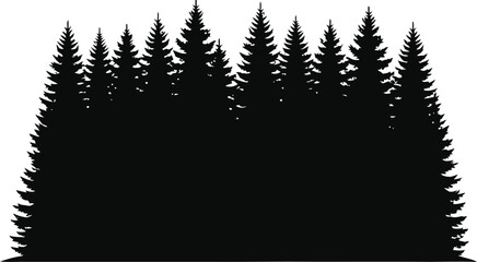 Obraz premium Dense pine tree forest silhouette against a white background