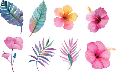 collection of flowers