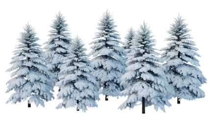 Snowy pine trees isolated on transparent background isolated on transparent background