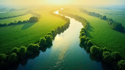The Natural Scenery Green Plain