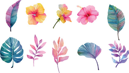 set of colorful flowers