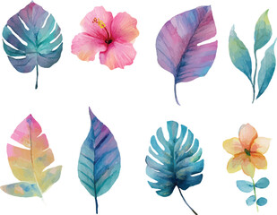 vector set of colorful leaves