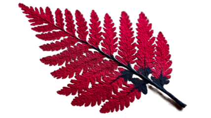 Ilustrasi daun pakis merah tua yang khas, detail dengan gaya seperti cat air (watercolor) yang indah.