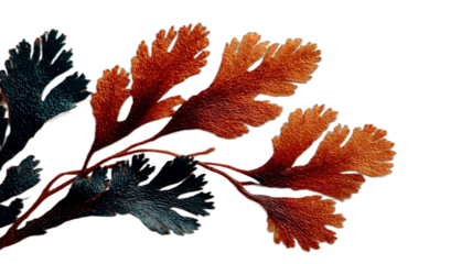 Ilustrasi cabang dengan kombinasi warna oranye, cokelat kemerahan, dan biru tua, nuansa musim gugur yang unik.