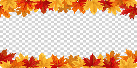 Obraz premium Colorful autumn maple leaves frame on transparent background