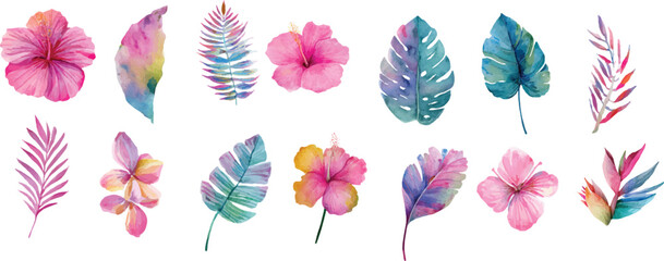 vector illustration of a flower and leaf