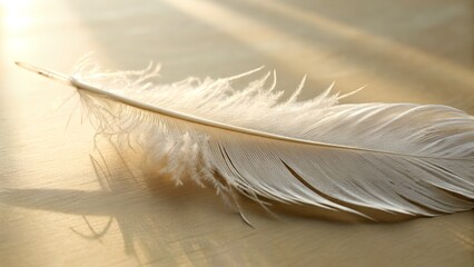 Realistic Feather Detail on Calm Aesthetic Surface