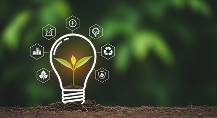 Sustainable energy concept light bulb with plant and ecology icons