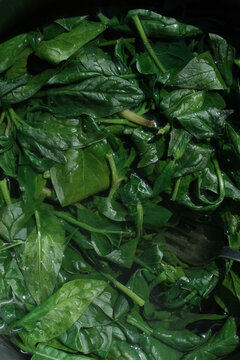 spinach leaves cooking