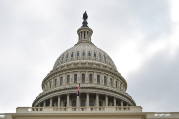 Fototapeta premium The United States Capitol Building in Washington DC famous Historic Landmark in USA.