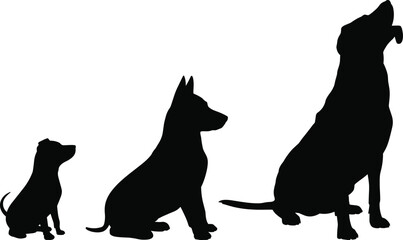 Silhouette set of three dogs sitting in different sizes, growth stages from puppy to adult, vector illustration isolated on white