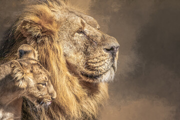 Majestic male lion and adorable cub resting together in profile view with copy space