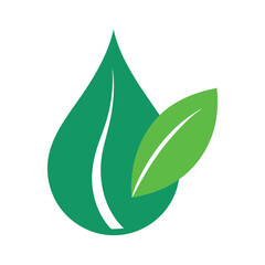 Vibrant green leaf with a clear water drop isolated on white background