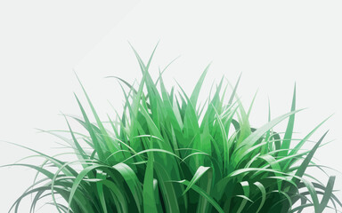 Close up of vibrant green grass blades against a clean white background
