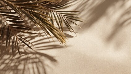 Obraz premium Close-up shot of dry palm fronds casting shadows on a neutral, textured surface