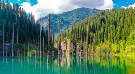 Sunken forest of Lake Kaindy in Kazakhstan. Beautiful mountain natural landscape. A blue lake with...