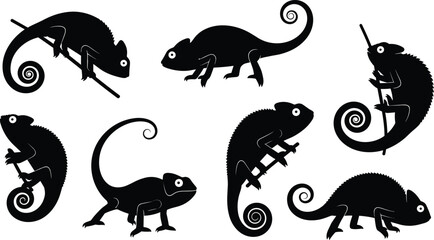 Vector Collection of Chameleon Silhouettes Climbing, Sitting, and Walking on Branches Illustrating Diverse Tropical Reptiles with Curled Tails and Large Eyes