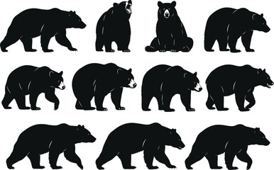 Vector Collection of Large Wild Bear Silhouettes Walking, Sitting, and Roaring Illustrating Various Poses of Forest and Grizzly Wildlife Animals