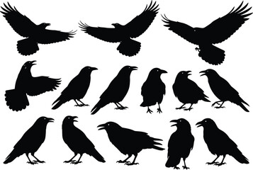 Vector Collection of Raven and Crow Silhouettes Flying and Standing Isolated on White Background Illustrating Black Gothic Birds of Prey