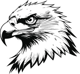 Eagle head profile line illustration, sharp beak and detailed feathers with thin black lines, isolated vector on white 1