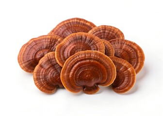 Pile of dried reishi mushroom slices isolated on white background